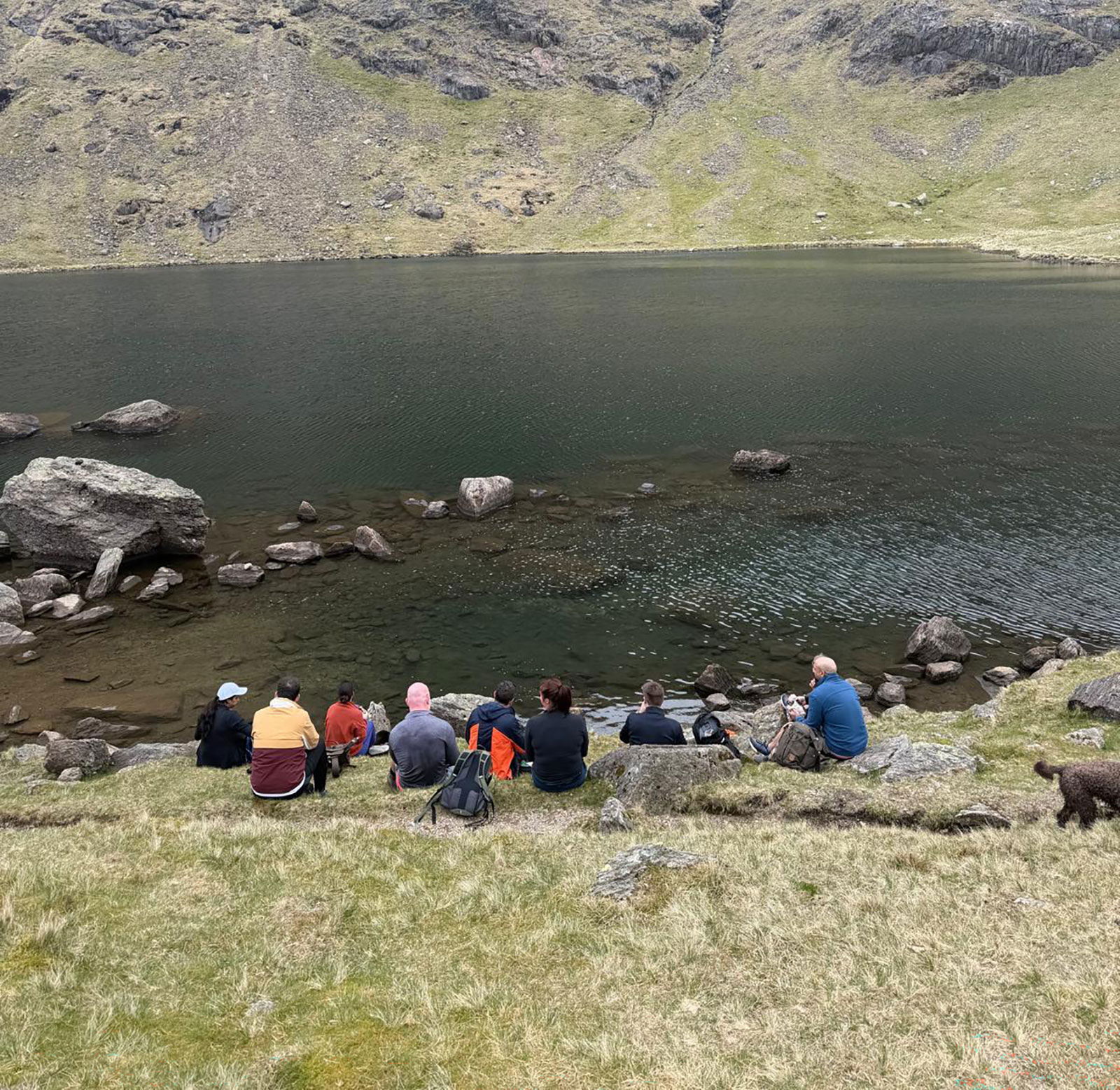 Our senior leadership team and board sitting together on the grassy shore of a mountain tarn during the Coniston climb